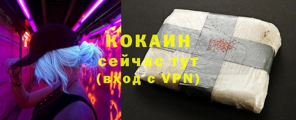 прущие грибы Лабытнанги