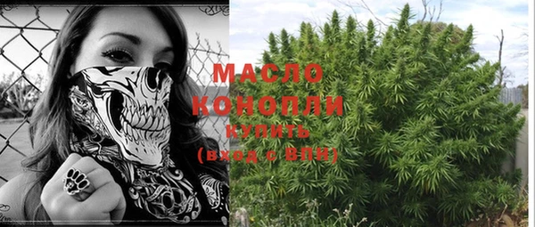 прущие грибы Лабытнанги