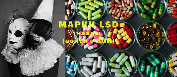 прущие грибы Лабытнанги