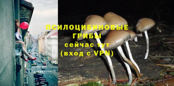 метамфетамин Ладушкин