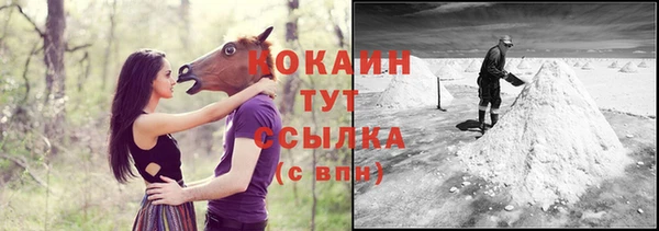 прущие грибы Лабытнанги